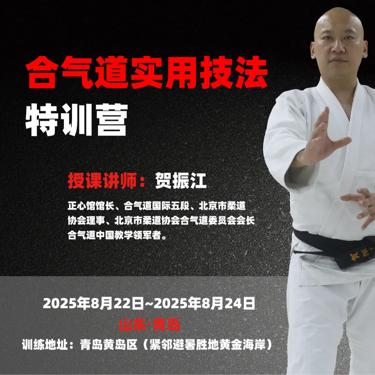 合气道实用技法特训营（青岛）
