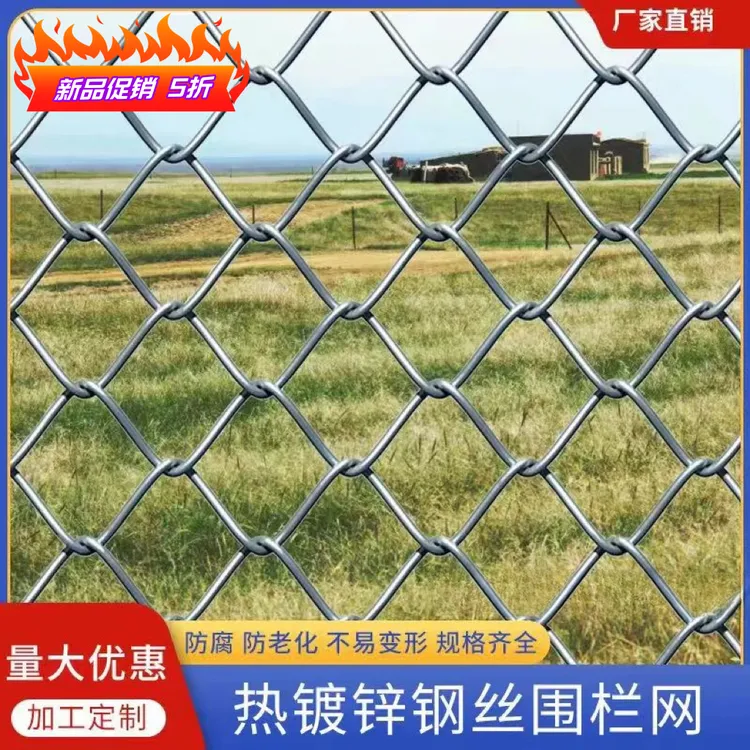 镀锌铁丝网勾花网围栏家用圈牛羊防护养殖网养鸡狗果园隔离护栏网