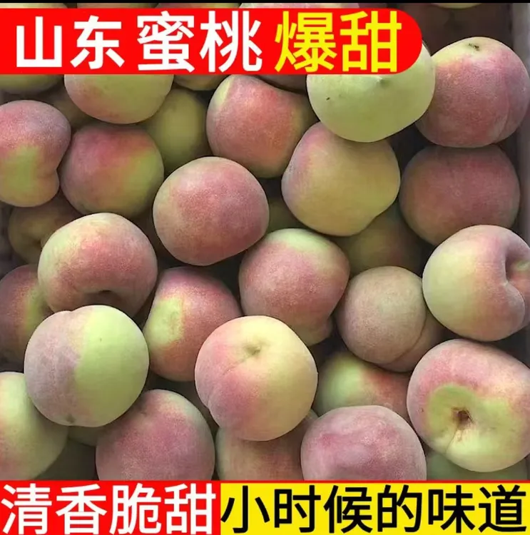 山东潍坊正宗老品种小毛桃青州蜜桃清香脆甜冬季鲜桃水果包邮