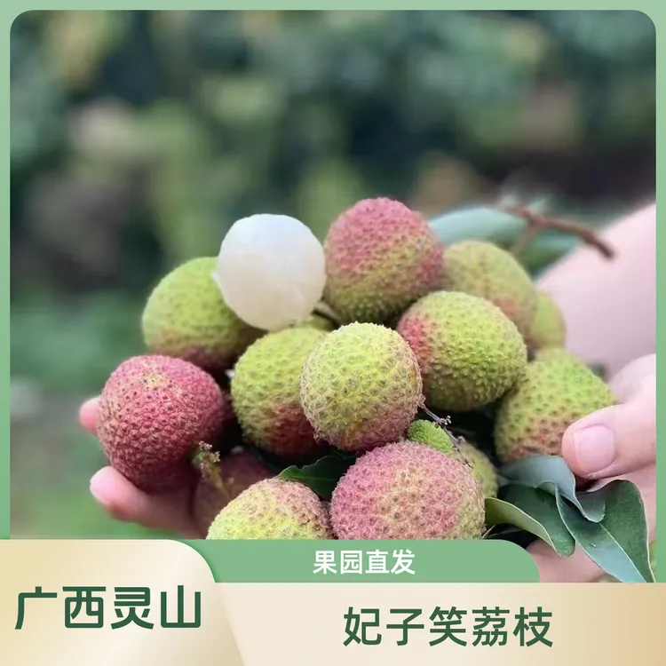 正宗广西灵山荔枝妃子笑新鲜采摘果园直发4.5斤净重彩箱中通包邮