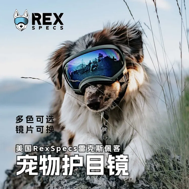 美国RexSpecs雷克斯佩客狗狗滑雪户外护目镜防风沙金毛边牧狗眼镜