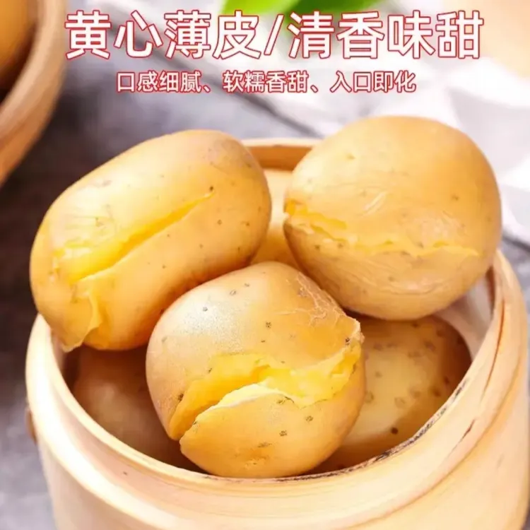 湖北恩施黄心富硒小土豆新鲜现挖（粉糯香甜）