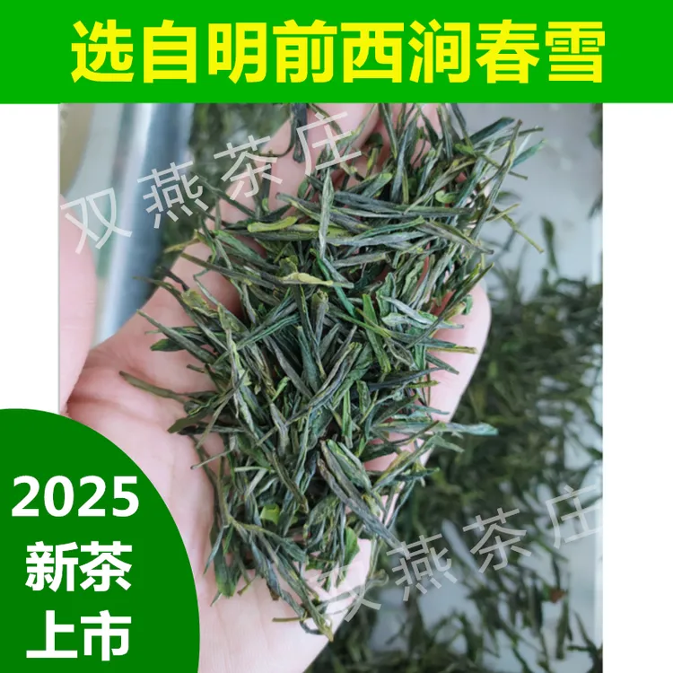 2025新茶上市 安徽滁州明前施集西涧春雪绿茶叶滁州特产袋装250g