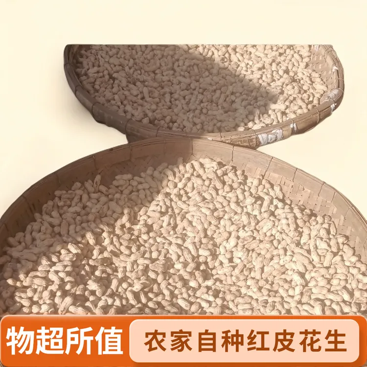 2025年新花生花生米农家自种红皮花生粉皮花生