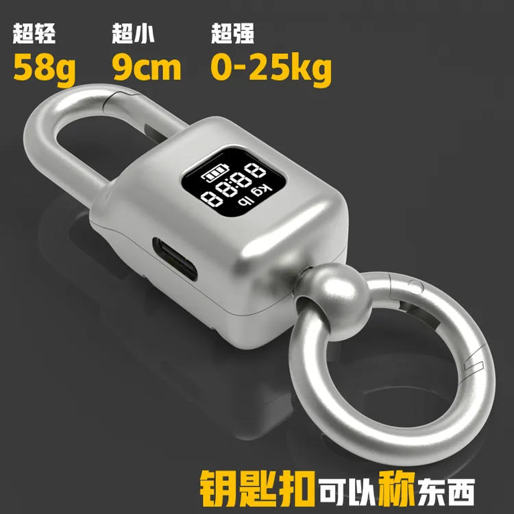 小型电子秤手持款5942