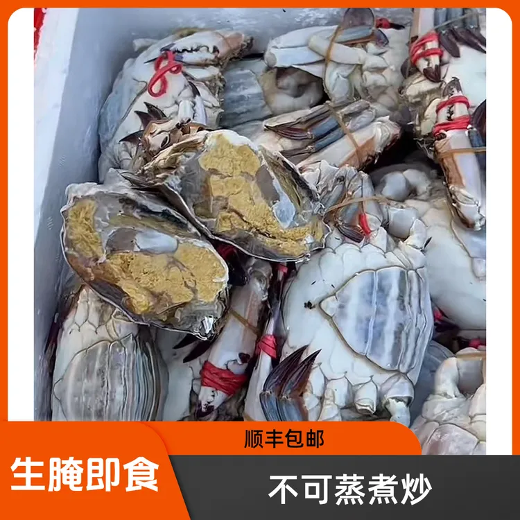 精品黄膏大母蟹 【单只半斤左右】一卤鲜生腌呛蟹3斤装 
