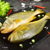 【一霏】过节必备生态半野生黄花鱼鲜活速冻500-550克每条到手4条
