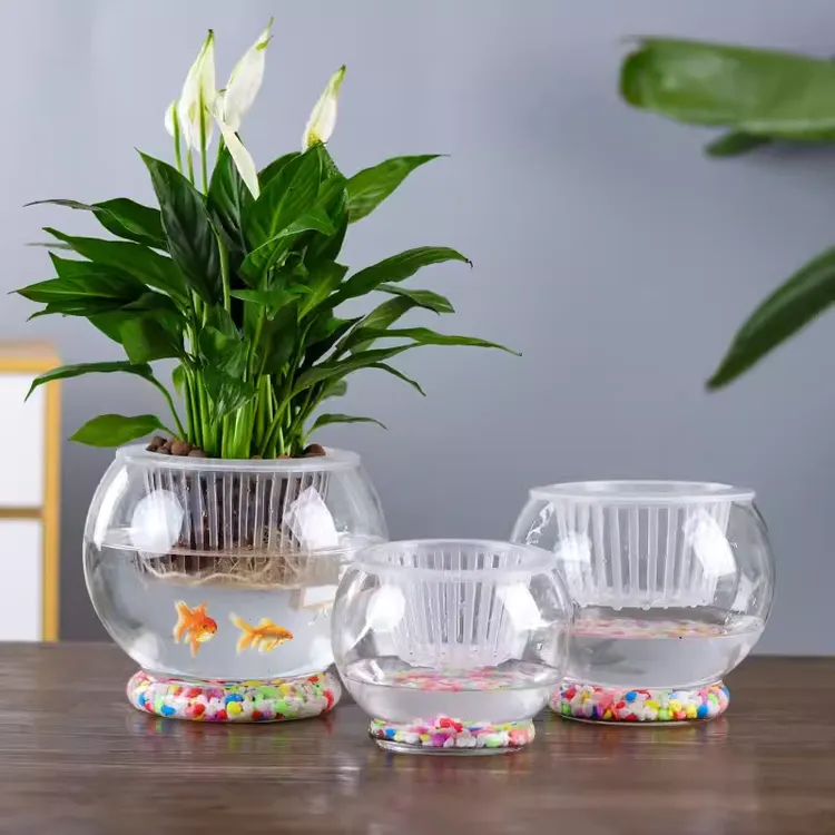 创意水培植物花瓶透明玻璃水养绿萝花盆鱼缸