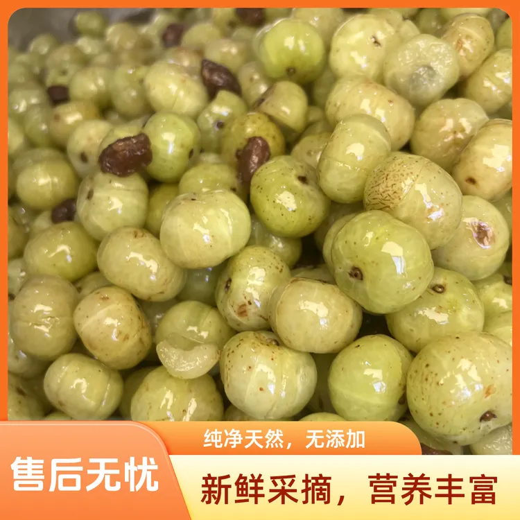 手工腌制话梅油柑新鲜余甘果咸甜解腻开胃孕妇水果
