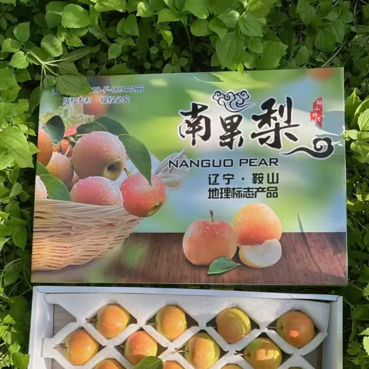 鞍山特产南国梨礼盒