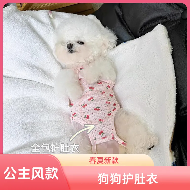 宠物春夏新款包肚衣护肚衣猫咪小型犬比熊泰迪小狗衣服