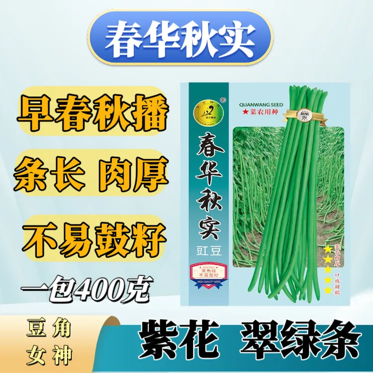 春华秋实豇豆种子，翠绿色、小叶型，条长顺直早熟，春秋播，高产