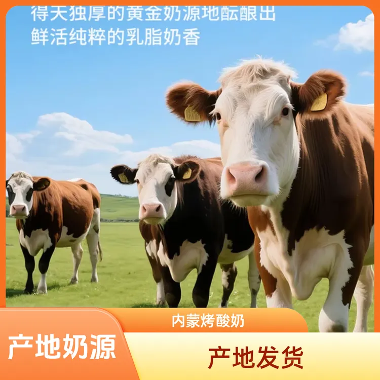 内蒙草原烤酸奶烤奶皮原味高钙奶皮无蔗糖添加儿童老人零食108片