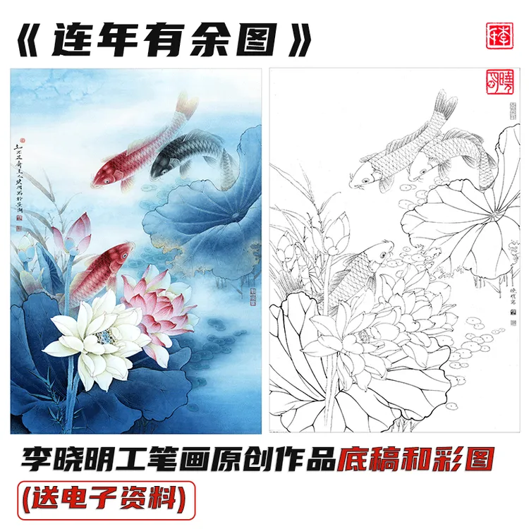 李晓明工笔画《连年有余图》底稿和彩图（送资料）
