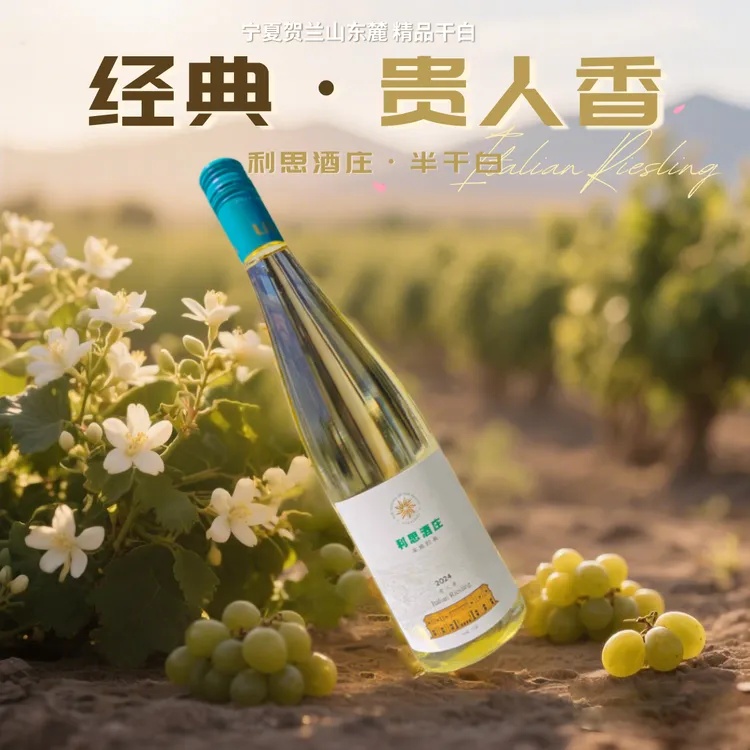 宁夏贺兰山利思酒庄经典贵人香半干白闺蜜聚会微醺海鲜解腻小甜酒