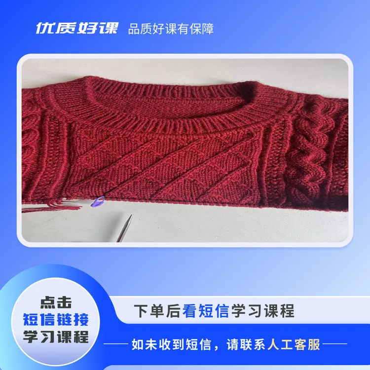 （苹果专拍）《驻春》上往下平肩自带袖含计算视频课程