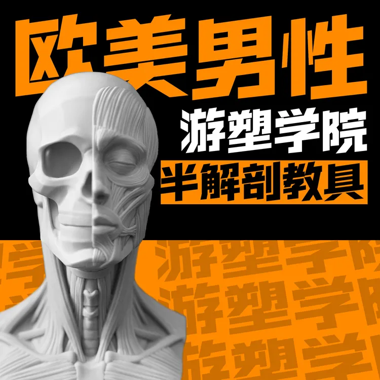 游塑学院肌肉骨骼解剖男性人头艺术雕刻3d模型树脂美术室教具 