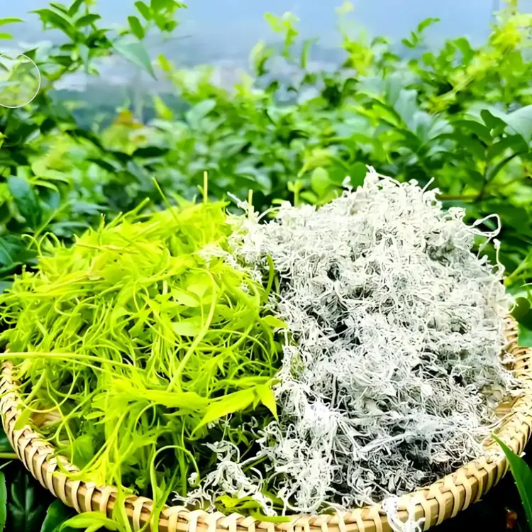 2025年新茶沙道湾恩施来凤藤茶富含黄酮 支持开袋试喝20g