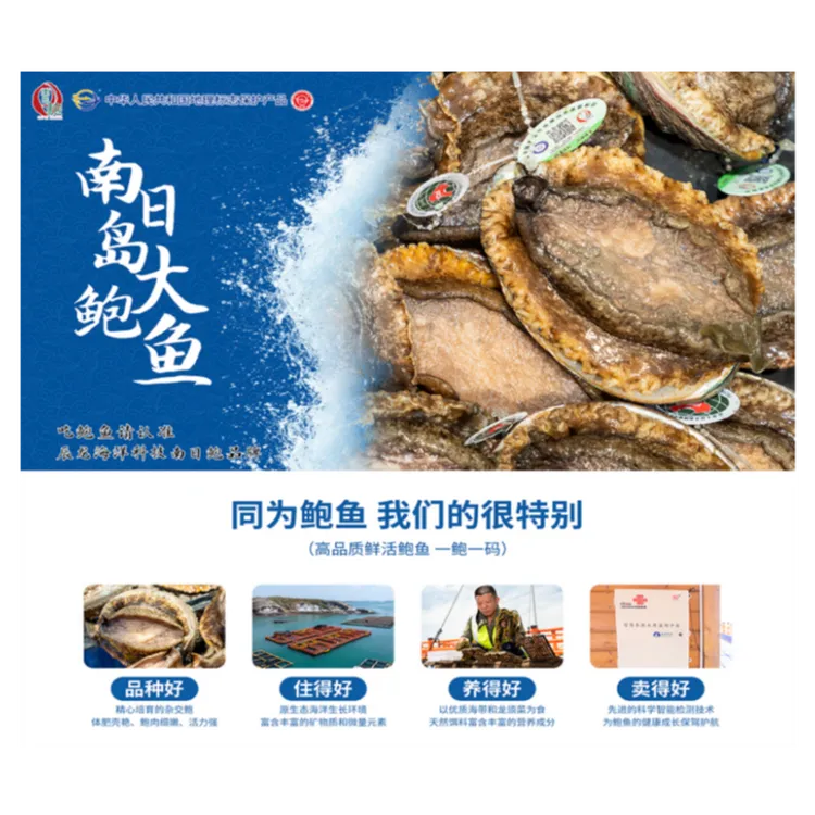 鲜活南日鲍南日岛深海大鲍【黄金大鲍鱼3头鲍】原产地顺丰包邮发出