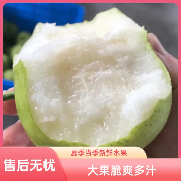 大沙河新鲜苏翠一号青梨大果脆爽夏季当季水果脆甜爆汁苏翠一号梨