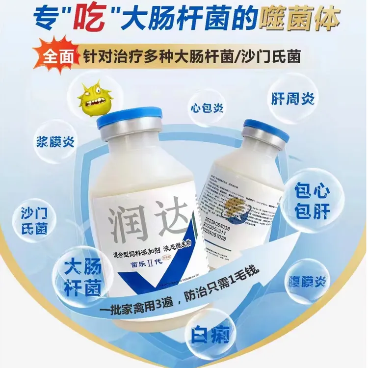 噬菌体青岛润达菌乐大肠杆菌浆膜炎包心包肝腹膜炎无药残刺激疫苗