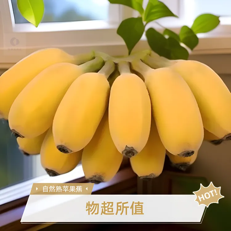 正宗新鲜自然熟香蕉苹果蕉应季软糯香甜水果农家现摘优质农产品