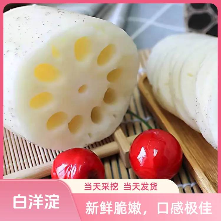 白洋淀现挖现发新鲜嫩莲藕不泡药清炒凉拌酸辣煲汤可生吃脆爽营养