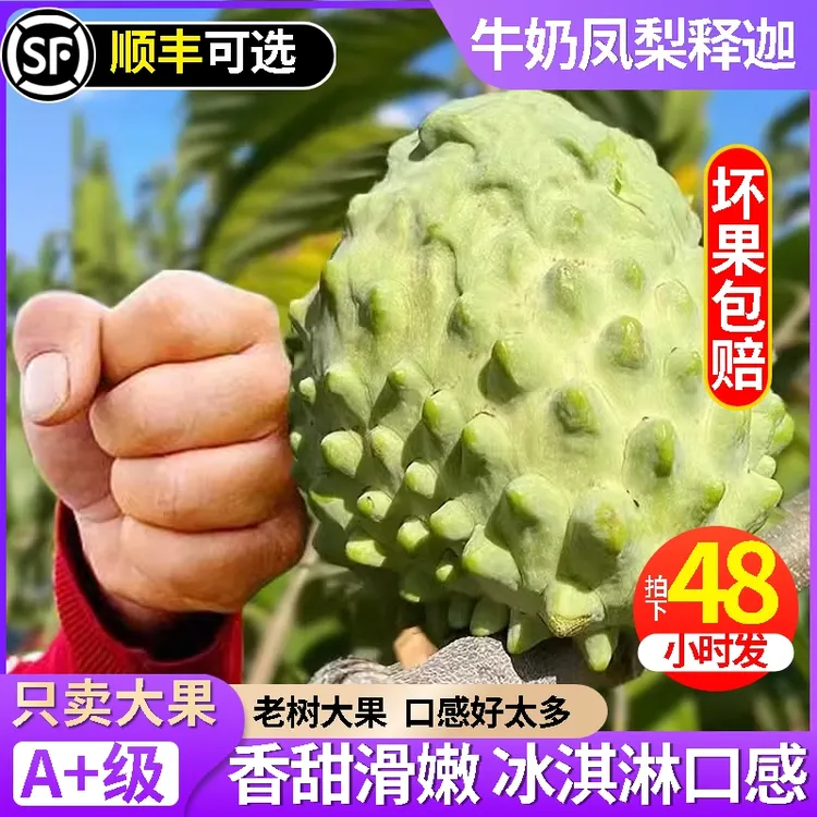 顺丰包邮云南凤梨释迦果新鲜热带水果现摘现发香甜佛头果