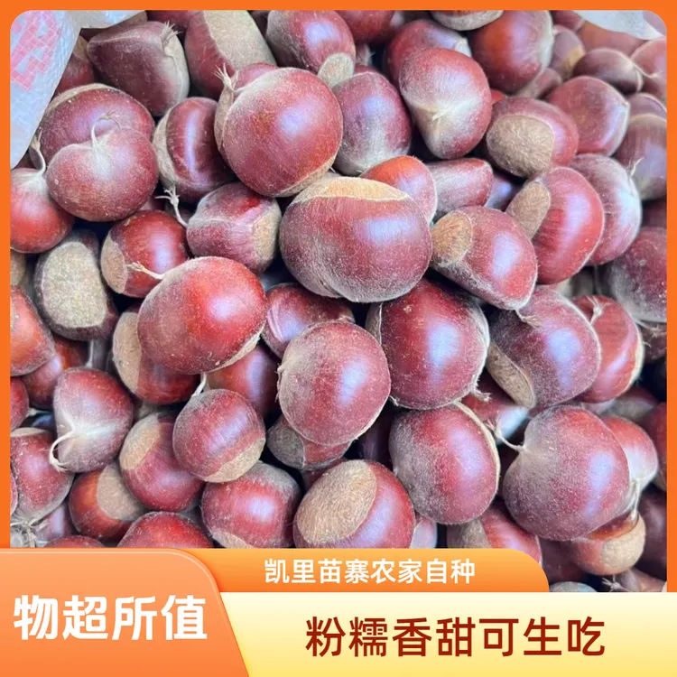 凯里苗寨新鲜生板栗可生吃粉糯香甜当季零食坚果