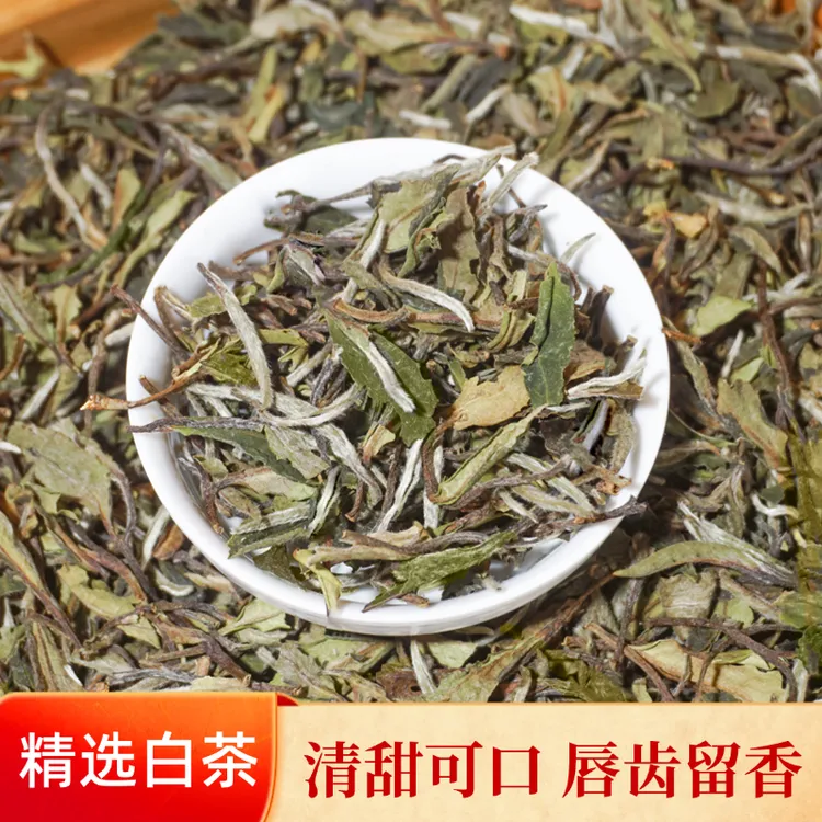 茶叶正宗官方正品口粮白茶福安大白茶白牡丹