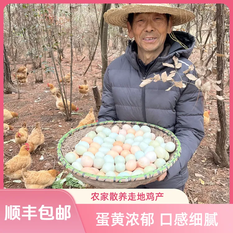 顺丰包邮【粉绿壳混装50枚】大山散养土鸡蛋营养健康初生土鸡蛋蛋