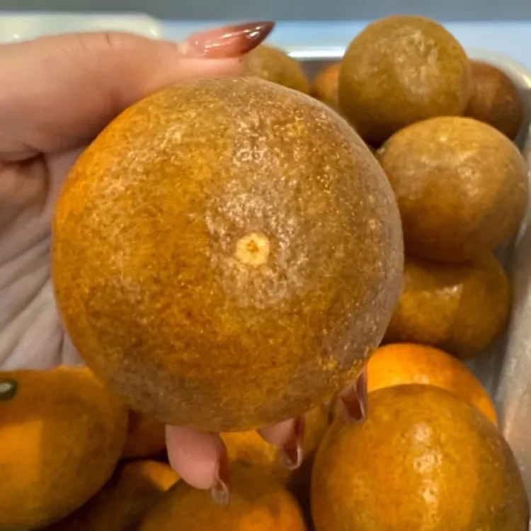 武鸣甜蜜乌柑新鲜现发