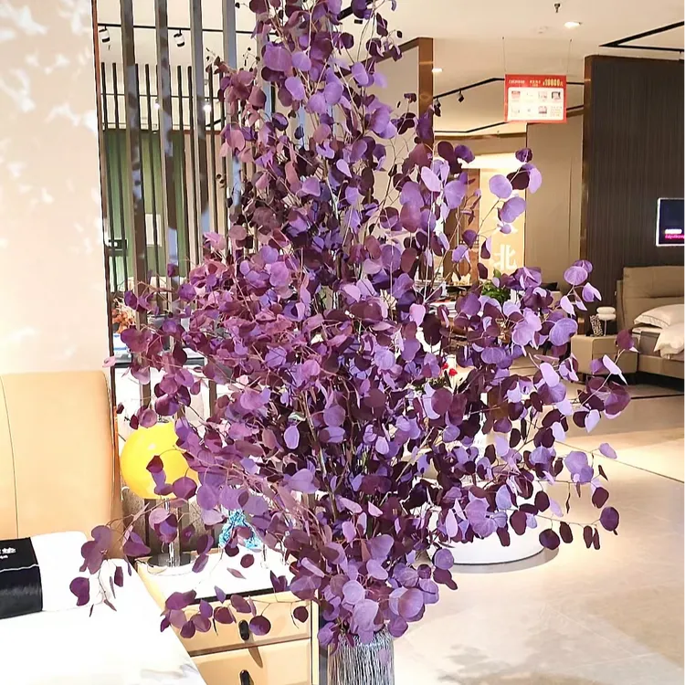 【拾花记1】落地款 进口苹果叶尤加利圆叶家居小清新风格进口永生花