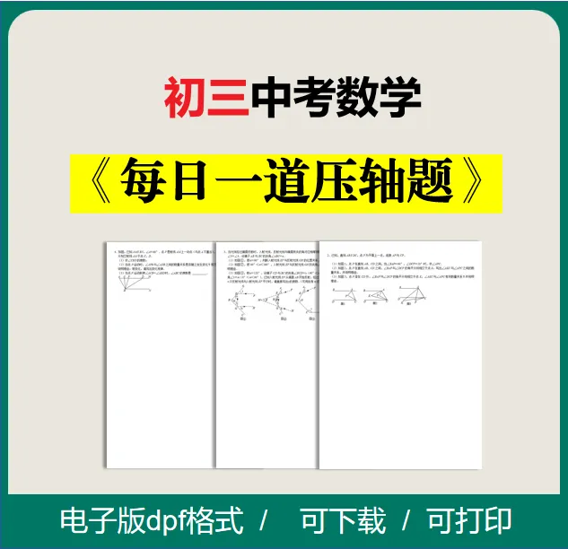 【电子版】2025年初三9年级中考数学压轴题（100题）带答案全国通用