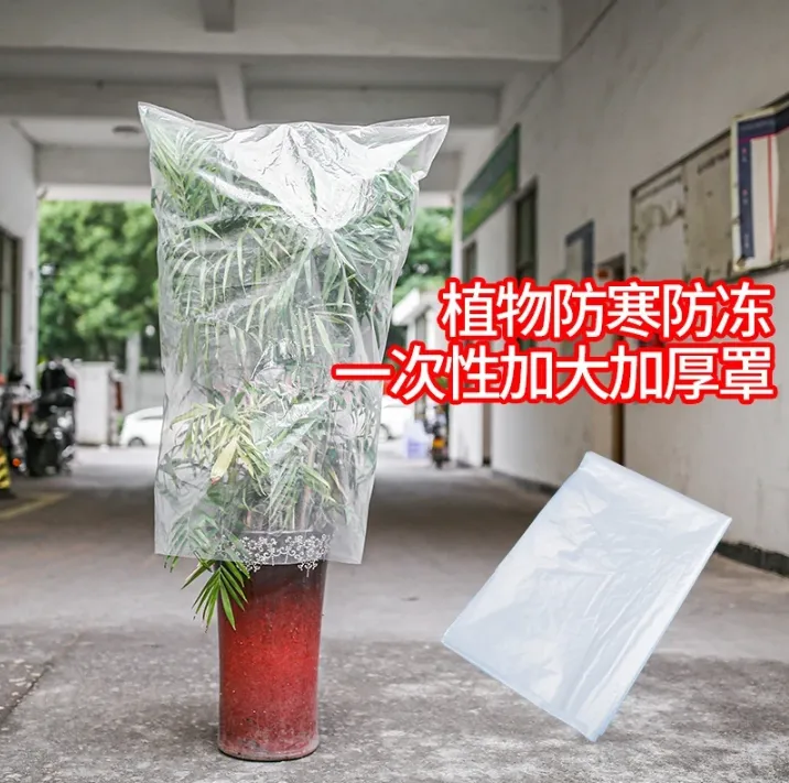 绿植物防冻保温袋塑料膜花卉盆栽过冬保护罩树木防寒布防尘袋透明