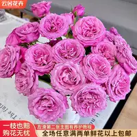 【云舍花卉】【长相思】多头玫瑰 全场任意满两单及以上鲜花包邮