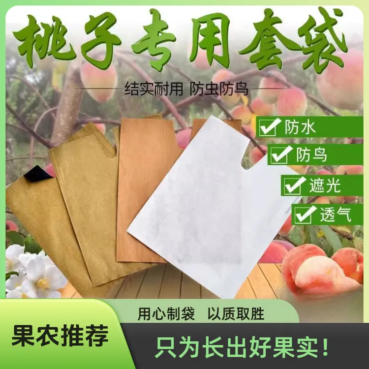 桃子专用套袋桃子袋水蜜桃黄桃冬桃蟠桃黄金奈李水果套袋防水防虫