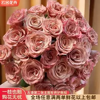 【云舍花卉】【卡布奇诺】多头玫瑰全场任意满两单及以上鲜花包邮发货