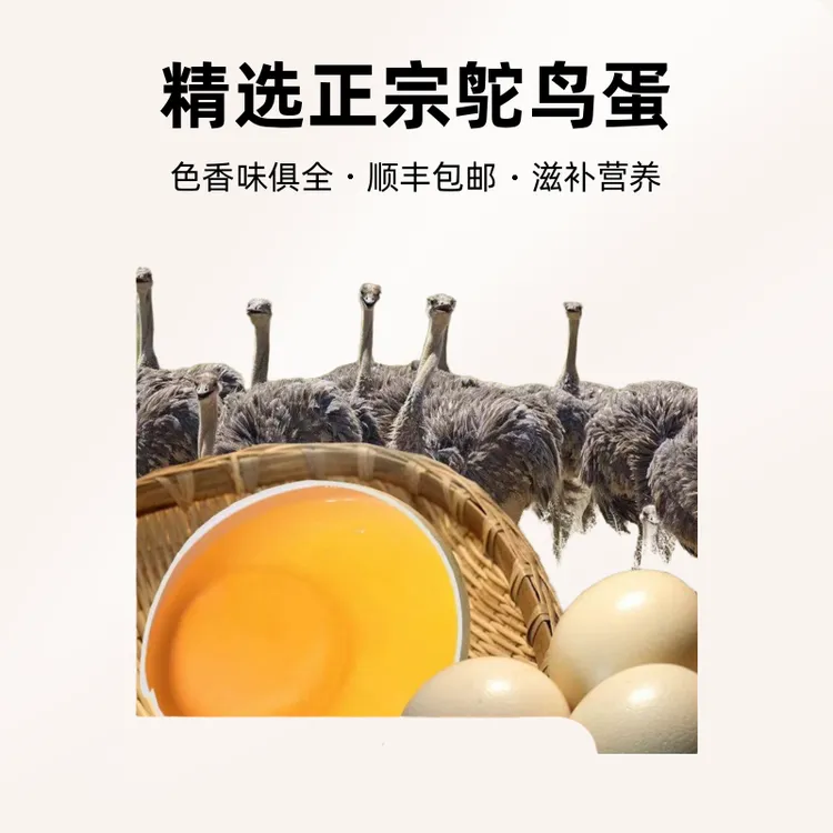 新鲜鸵鸟蛋 现捡现发 顺丰发货 坏了包赔