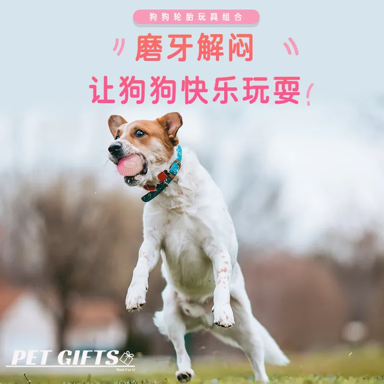 狗狗耐磨可咬边牧金毛泰迪幼犬夜光遛狗玩具弹球益智自嗨发光球球