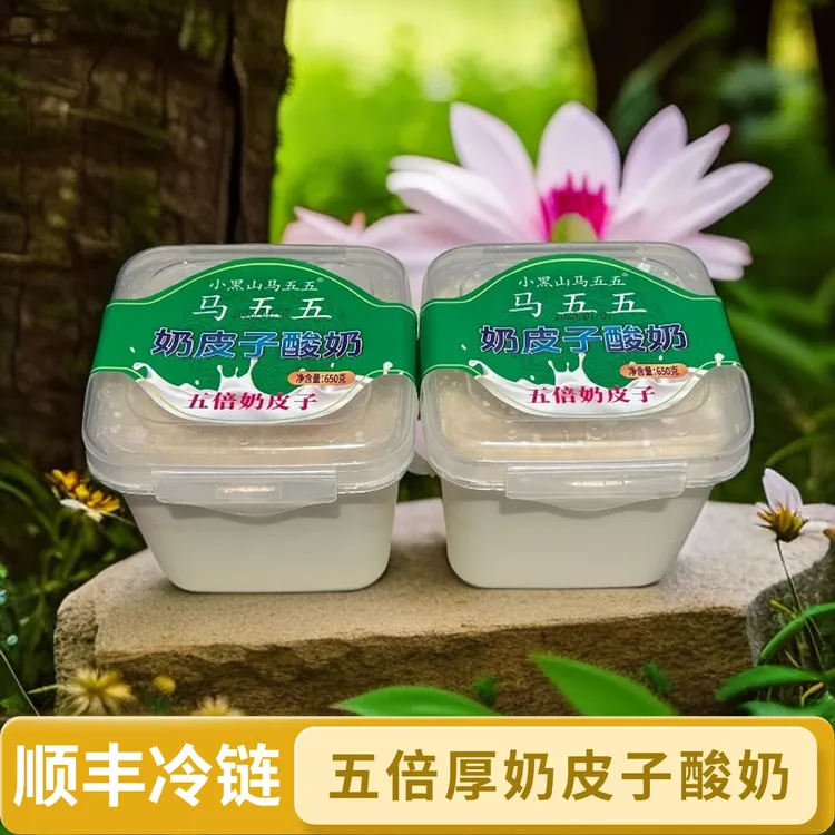 马五五加厚5倍鲜奶皮子plus版酸奶内蒙古经典原味老酸奶酸奶发酵