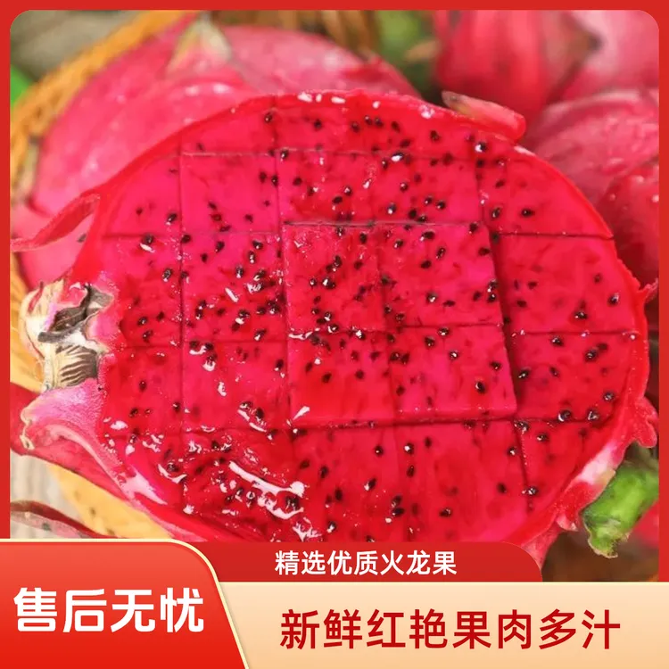 舌尖上的云南：昆明红心火龙果，不甜不要钱！