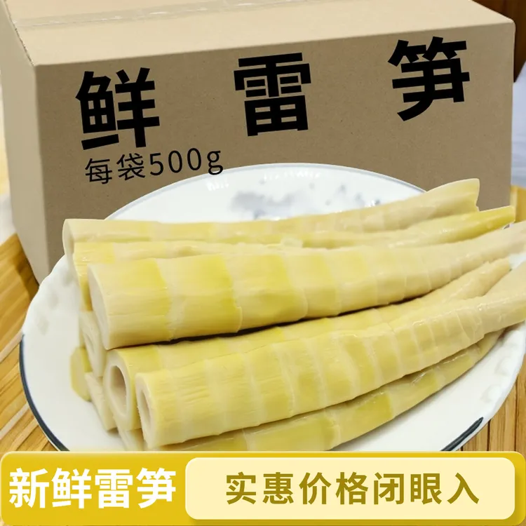 雷笋新鲜清水笋商用笋临安雷笋大竹笋鲜笋尖火锅食材竹笋脆笋鲜笋