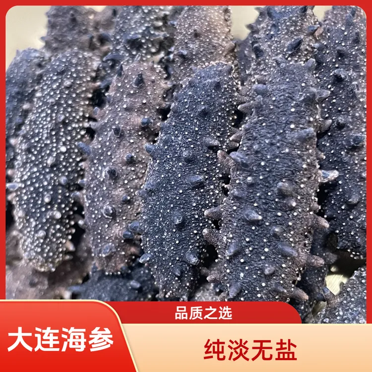 大连 沙山 浅水底播 淡干海参 高泡发 