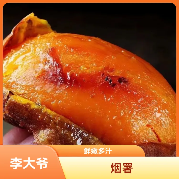 【球球姥姥】T5【山东烟薯25号】现挖溏心流油新鲜农家自种软糯沙地香甜多仓发货