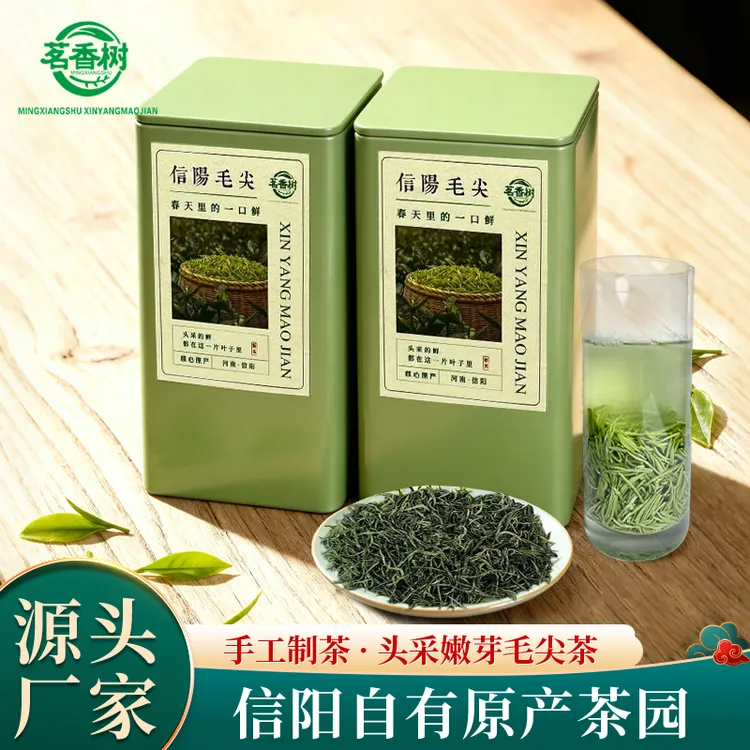 茗香树高山小芽毛尖雨前茶信阳毛尖