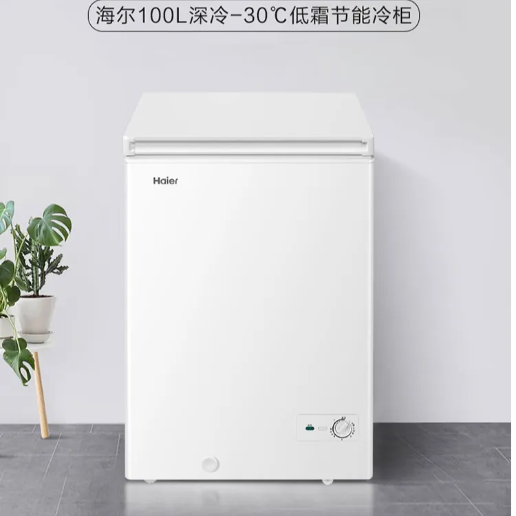 Haier/海尔（国补立减20％）海尔家用速冻冰柜100L一级节能减霜升级