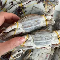 【冻蟹】舟山野生海捕梭子蟹肉母蟹 福利品 舟山顺丰冷链发货 4两左右/只 净重4斤以上 到手12只