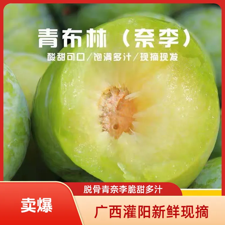 灌阳奈李新鲜现摘广西脱骨青奈李脆甜多汁核小肉厚当季水果