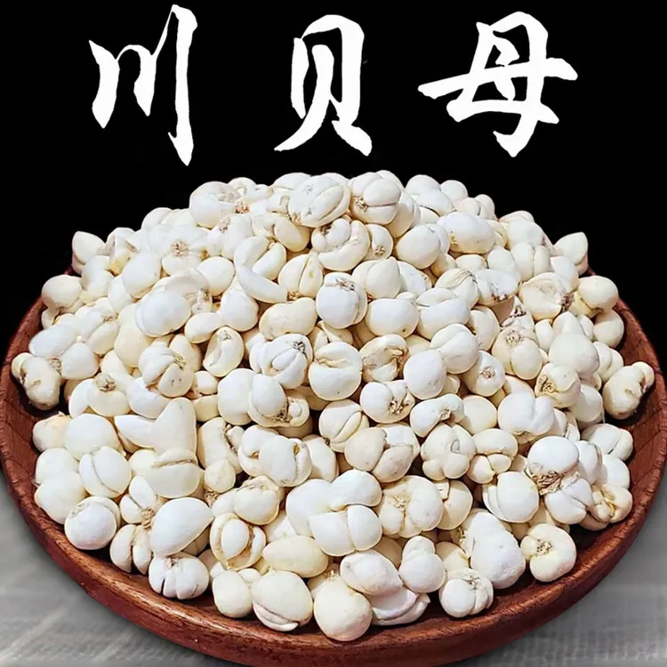 【野生】川贝母包邮现货现发野生川贝母新货无硫特级川贝母正 姜